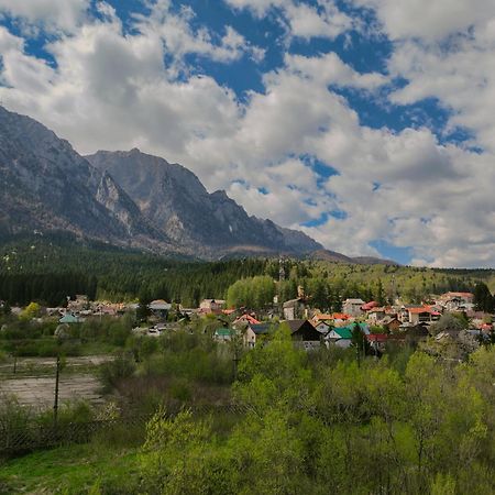 Busteni Mountain View Suites By The River - Ev Plug Exterior foto